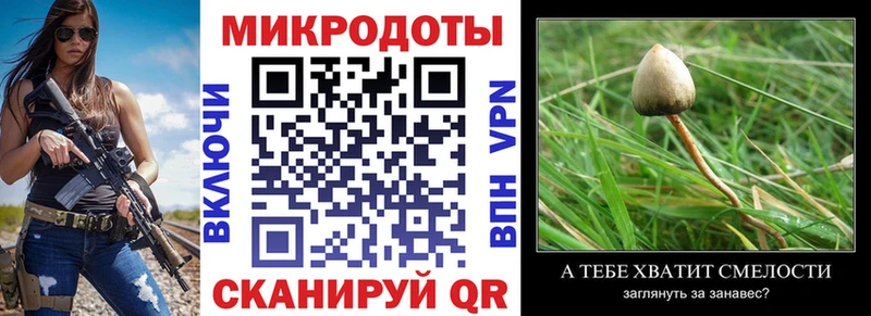Псилоцибиновые грибы мицелий  Приморск 